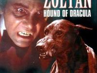 Forgotten Monsters: Zoltan: Hound of&nbsp;Dracula